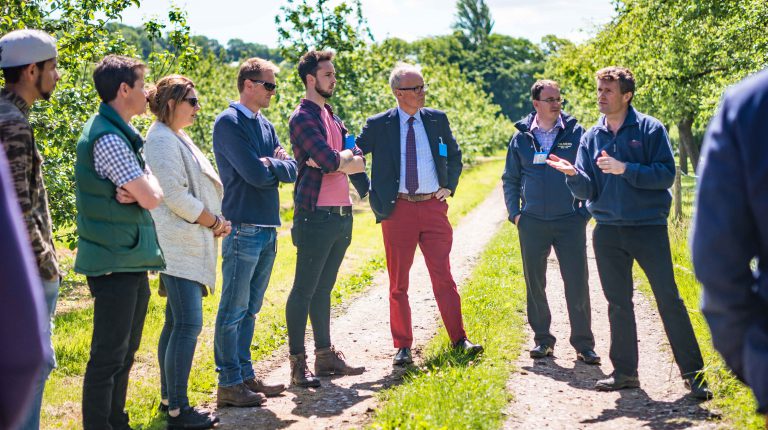 Dorset Orchards launches new Orchard Haze cider