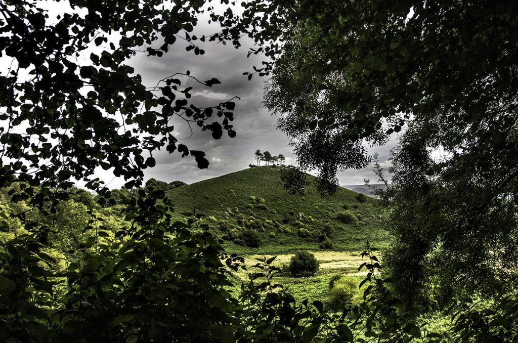 colme's hill, West Dorset